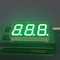 Czysty zielony 3-cyfrowy siedmiosegmentowy wyświetlacz LED 0,56 &quot;dla tablicy rozdzielczej