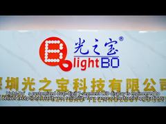 Niestandardowy wyświetlacz LED o dwóch cyfrach